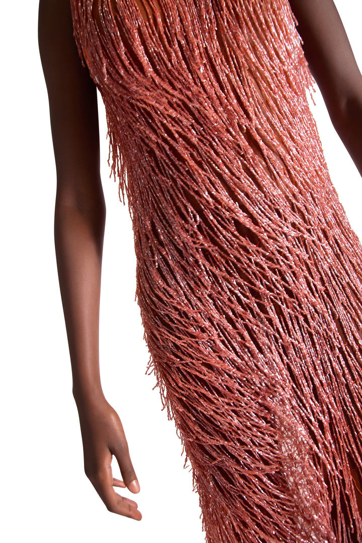 Hand Embroidered Tassel Sheer Dress