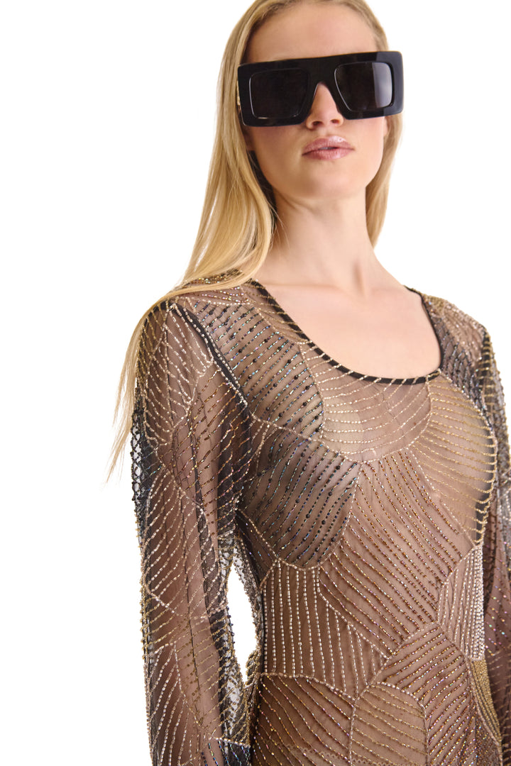 Hand Embroidered Sheer Evening Dress